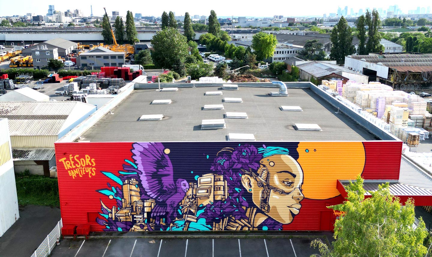 a street art mural called minerva in genevilliers made by alex kanos for tresors de banlieues exhibition